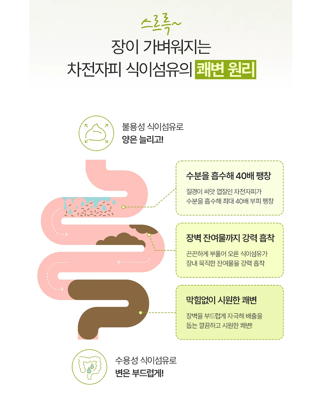 청통 바가지 사료 6