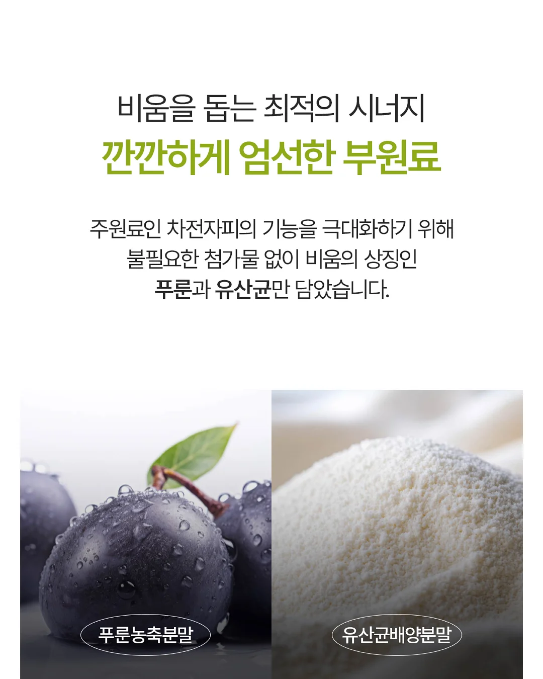 청통 바가지 사료 8