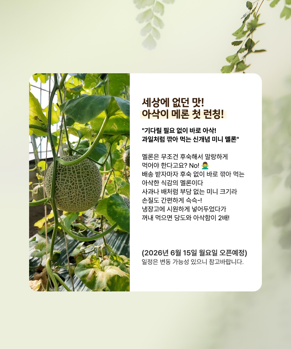 뱃살 순환 관리 루틴 4