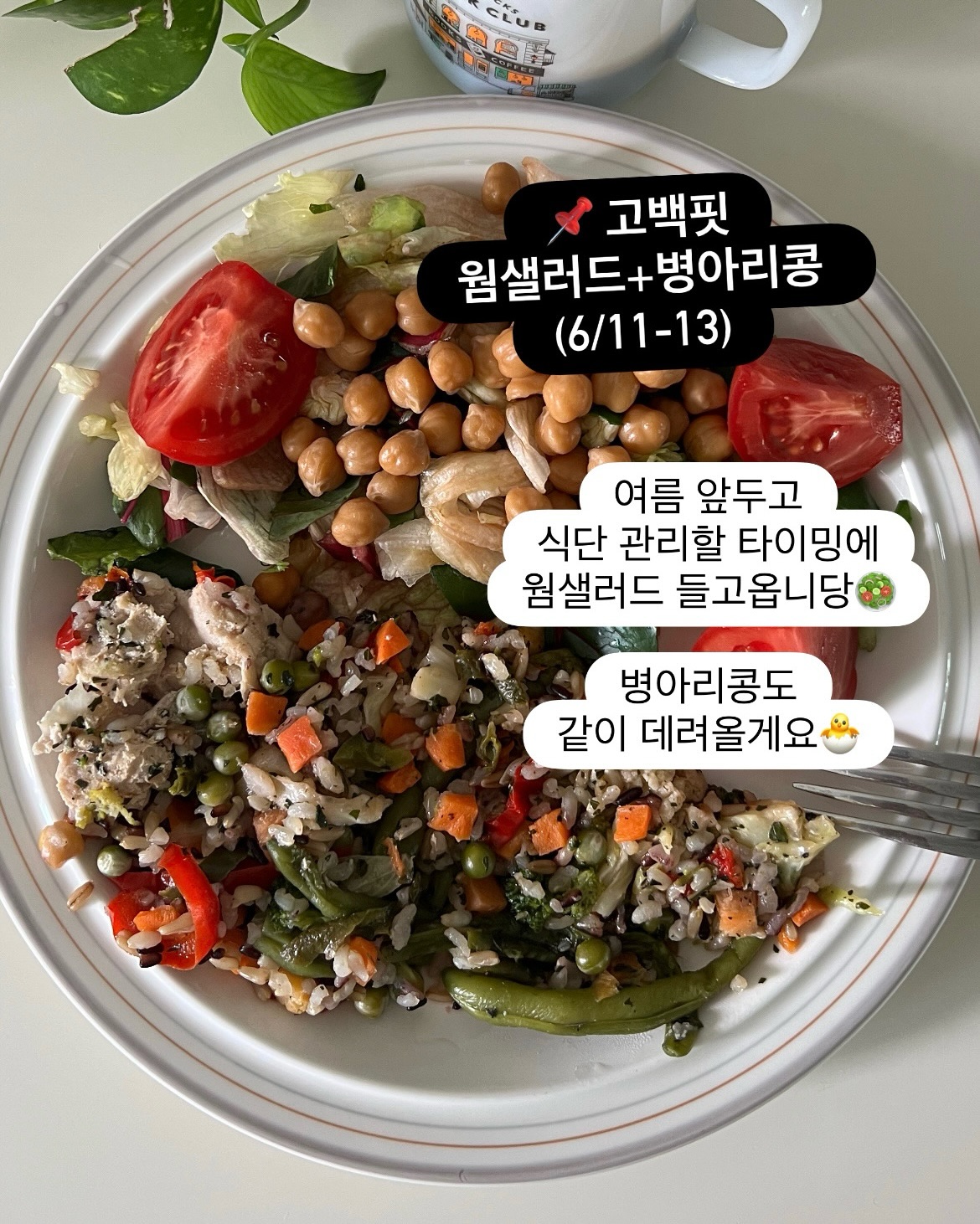 파로효소 11