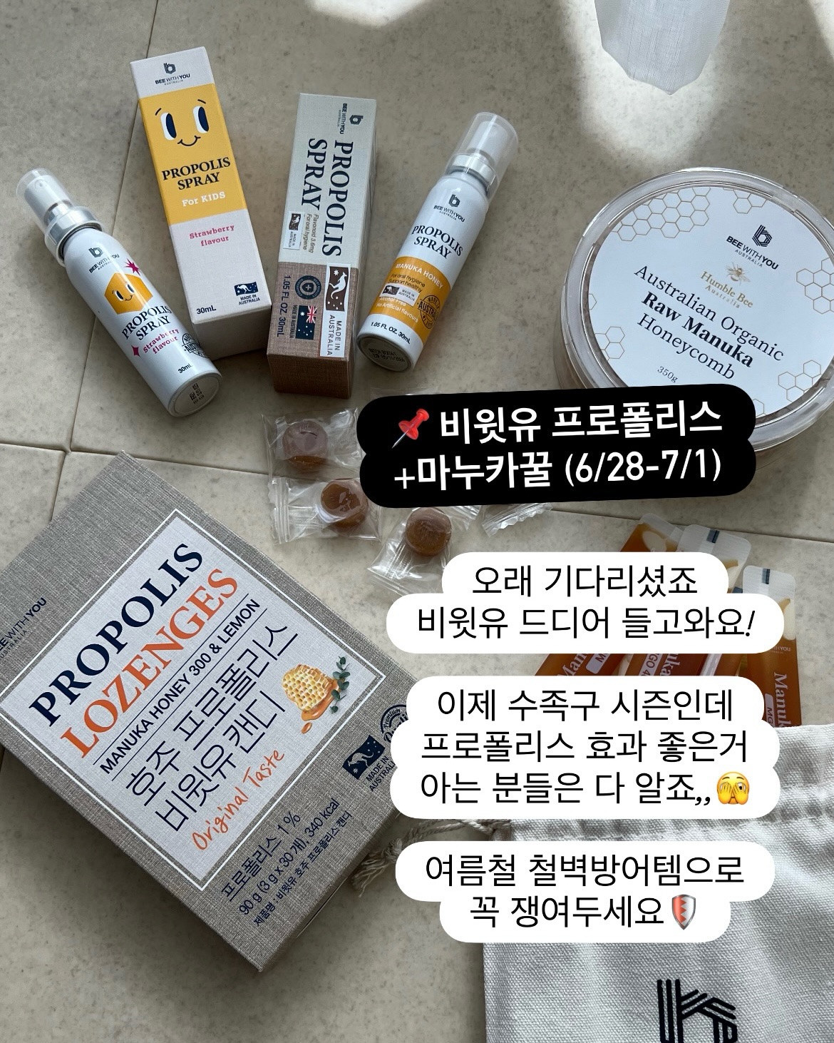 파로효소 19