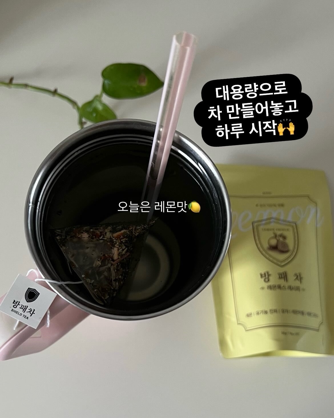 파로효소 3