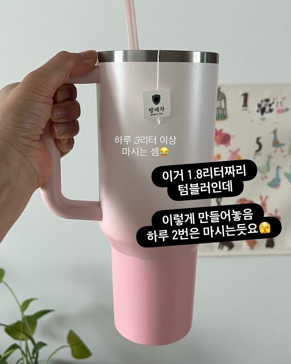 파로효소 4