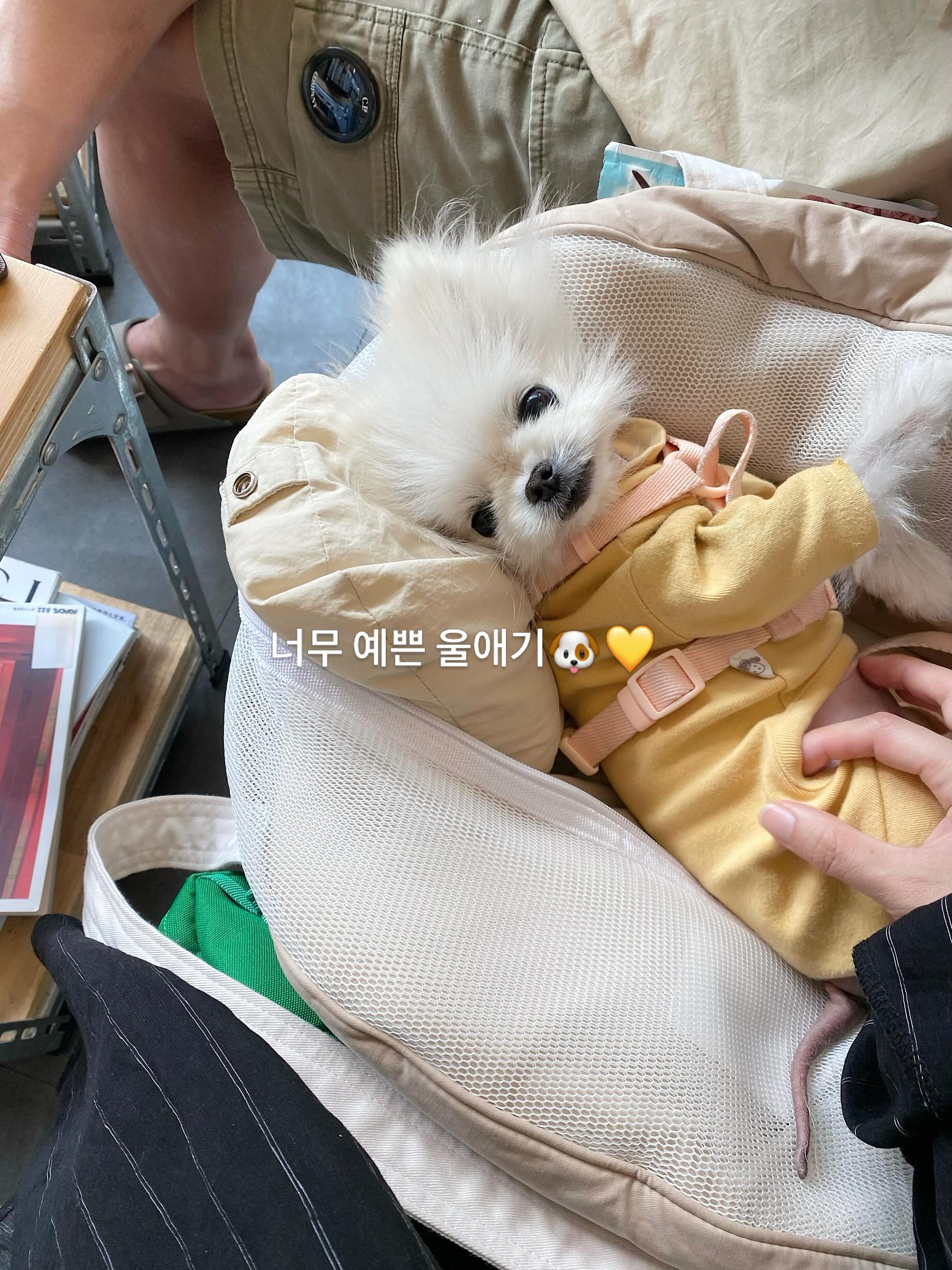 소금빵 5
