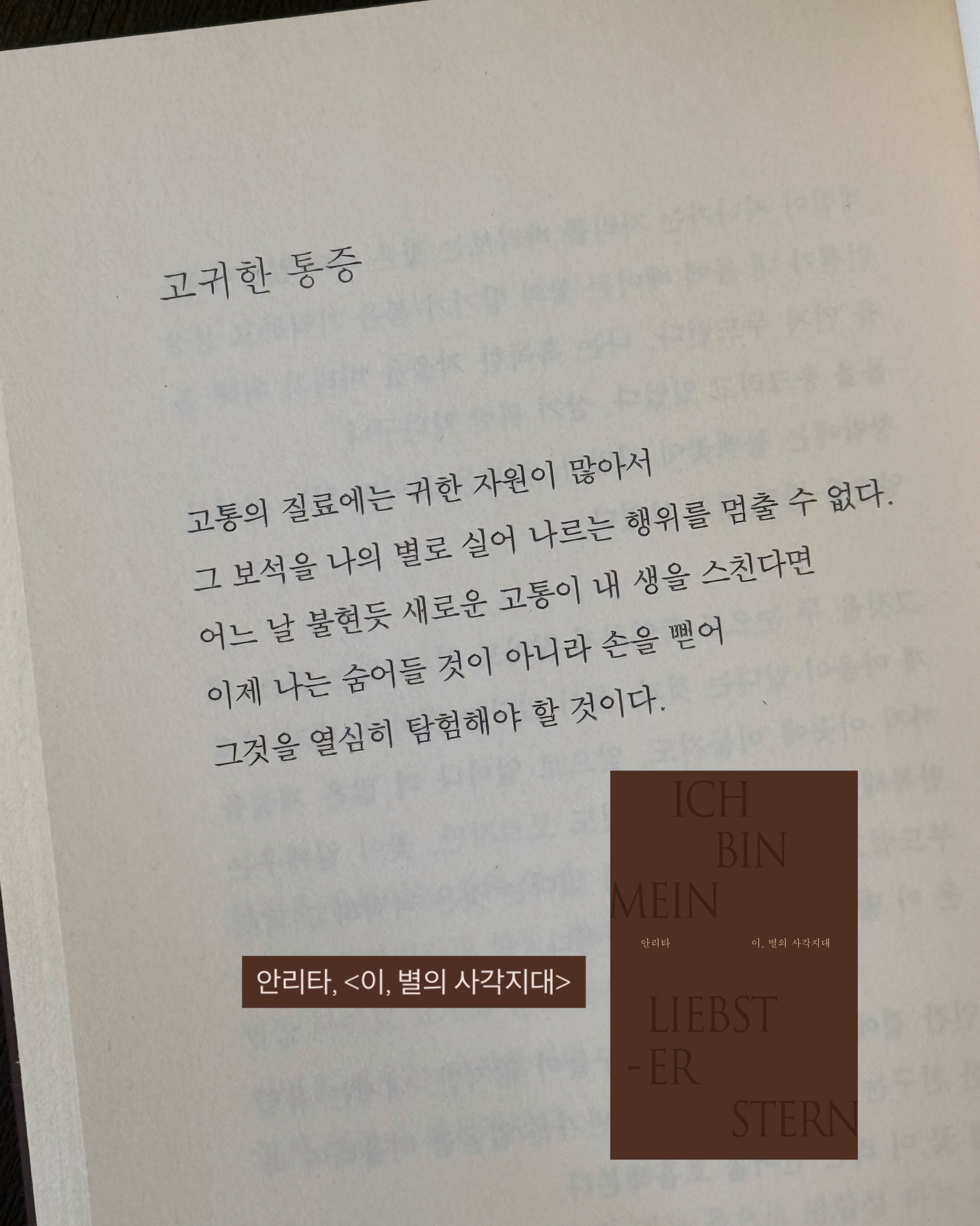 칼마디K2 5