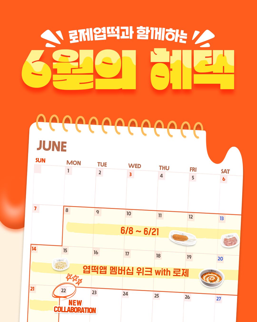 먼지털이 1