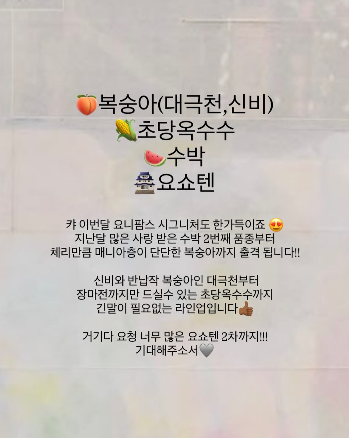 자주 분할 경추베개 2