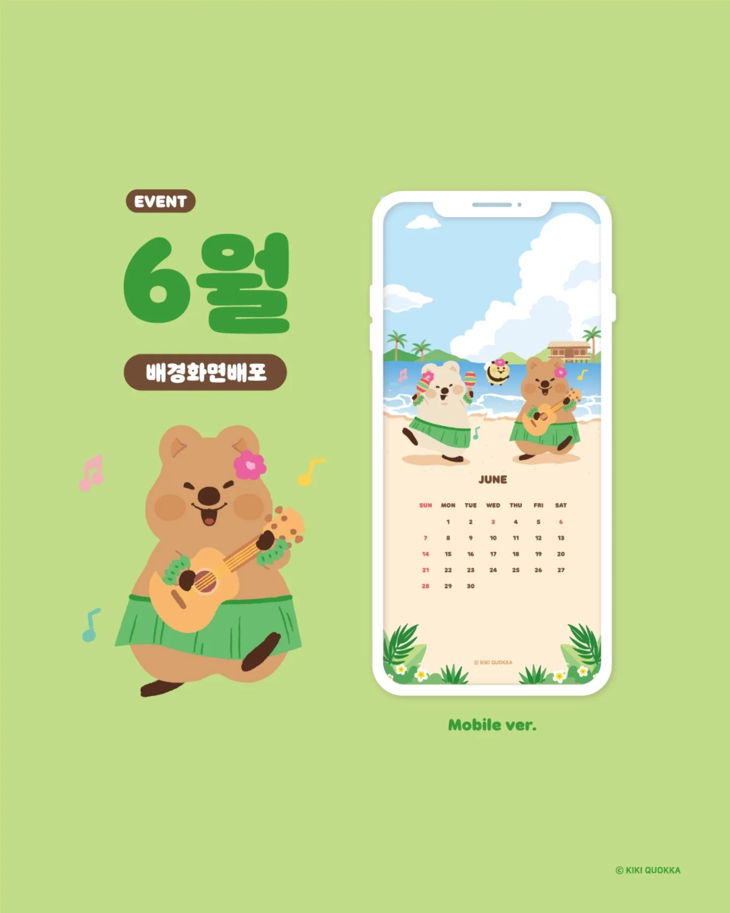 비블리안 샴푸와 앰플 1