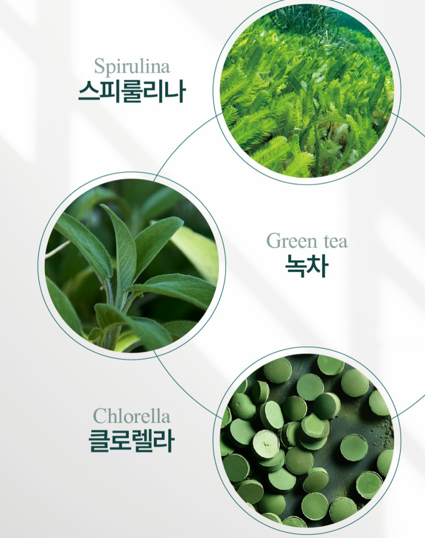 퐁퐁백 2.0 뉴 컬러 8