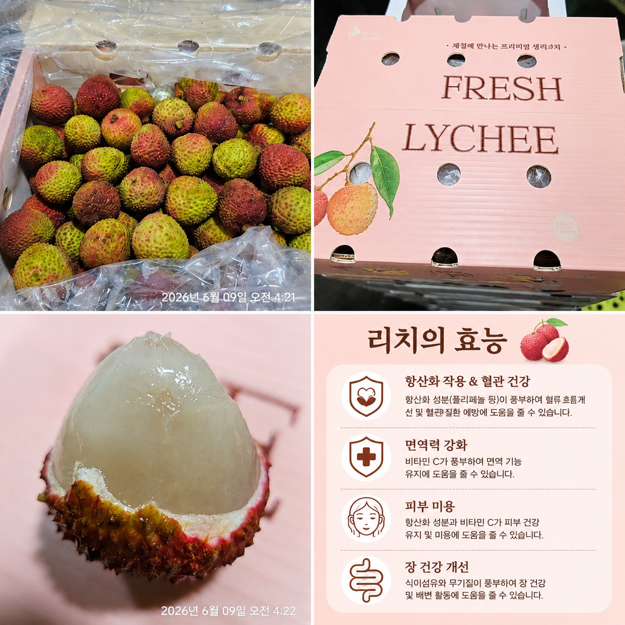 스무디 레시피 2