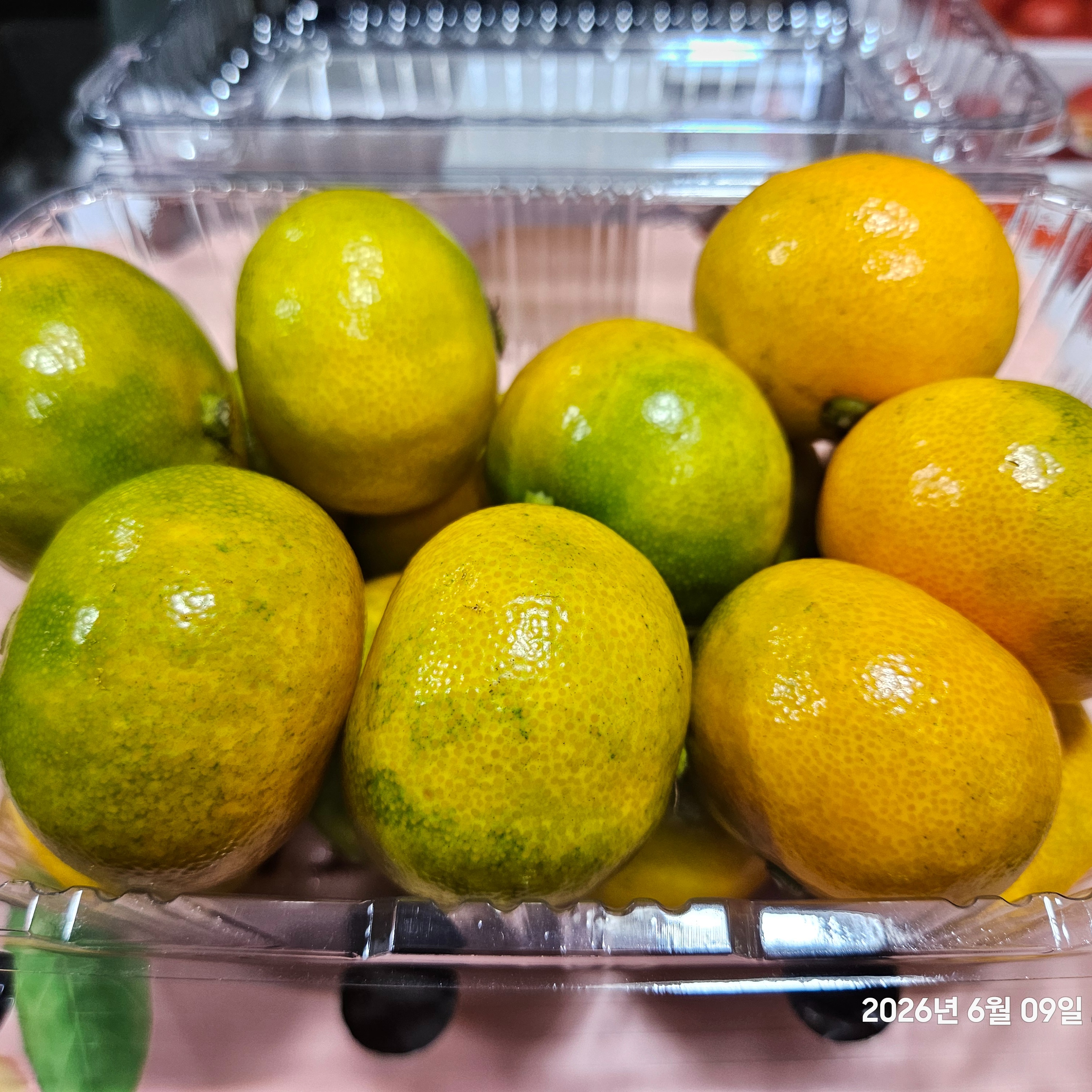 스무디 레시피 6