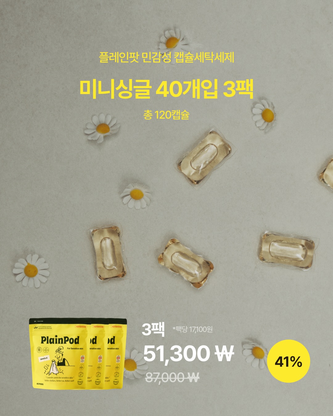 양배추전 16
