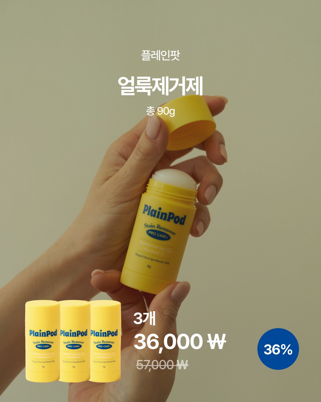 양배추전 19