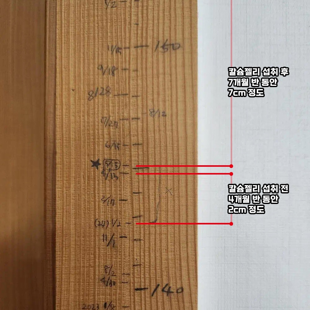 냉동 수박 2