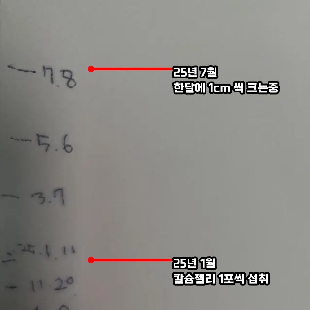 냉동 수박 4