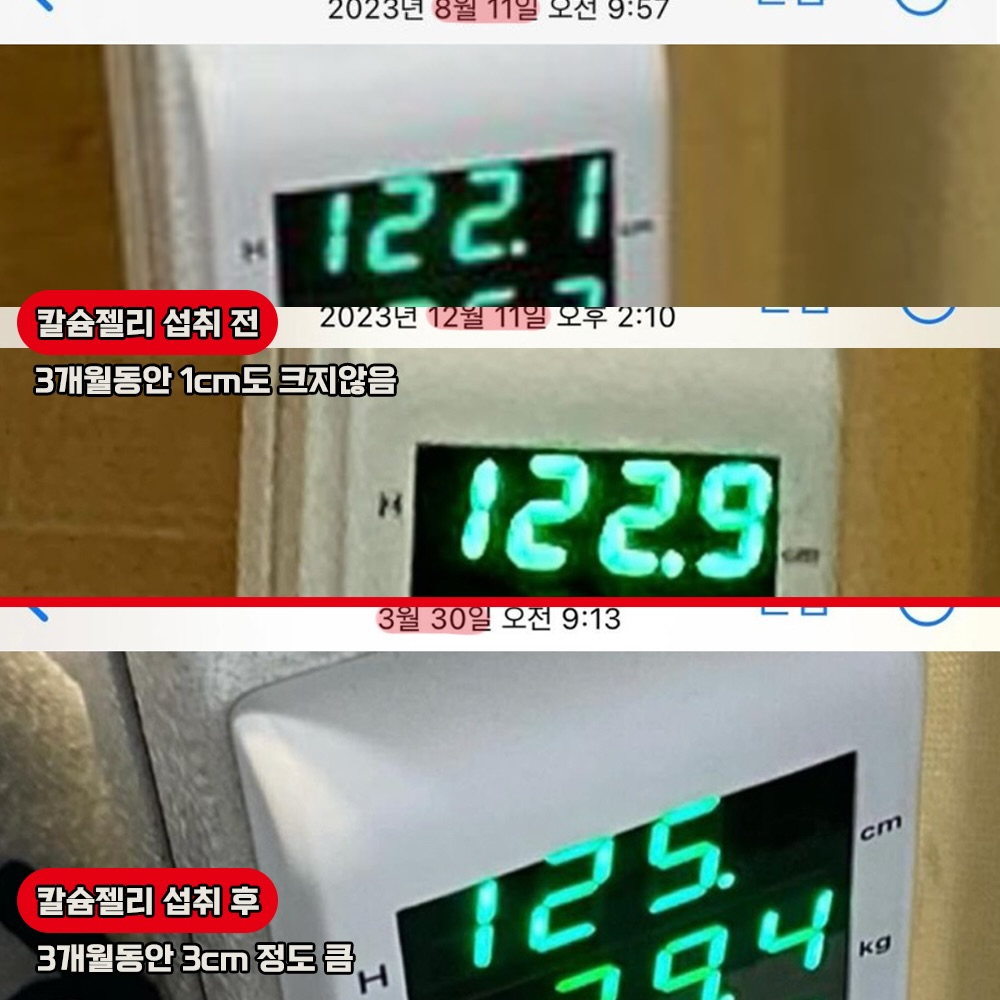 냉동 수박 5