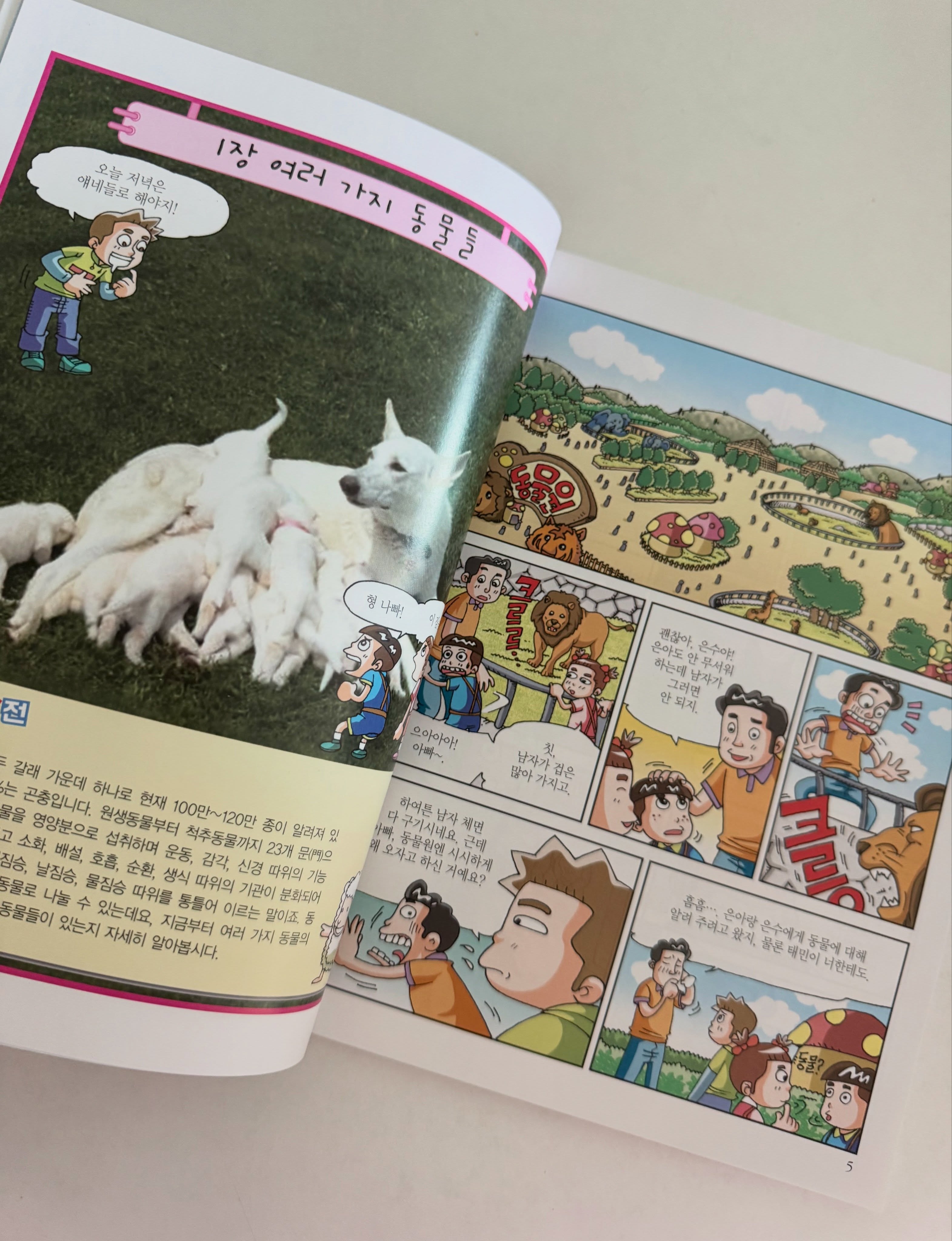 초등 과학 3-1 (25년 개정판) 노트정리&따라쓰기 PDF 20