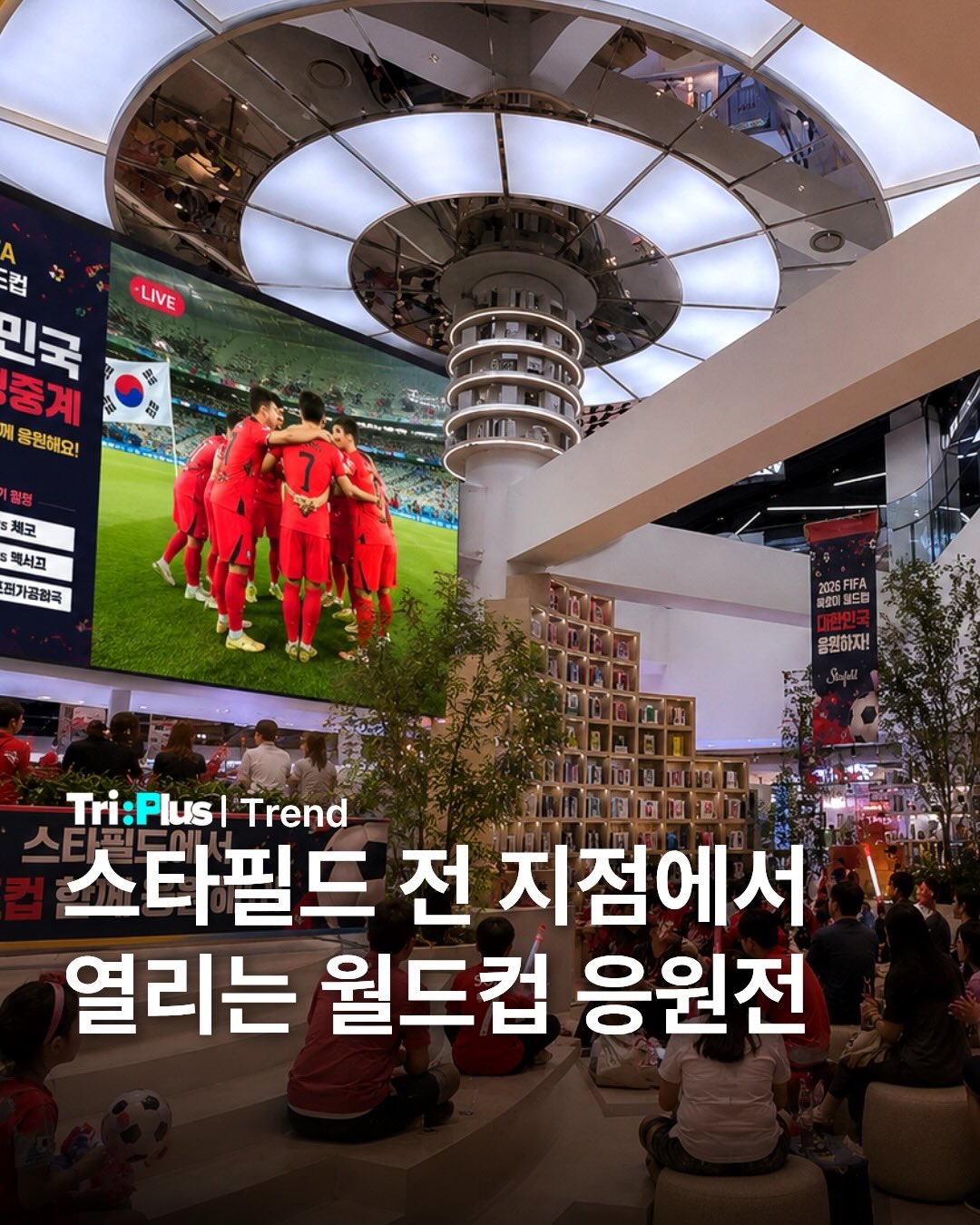 홈톡스 1