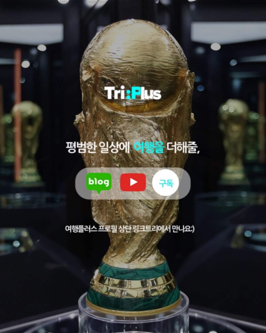 홈톡스 5