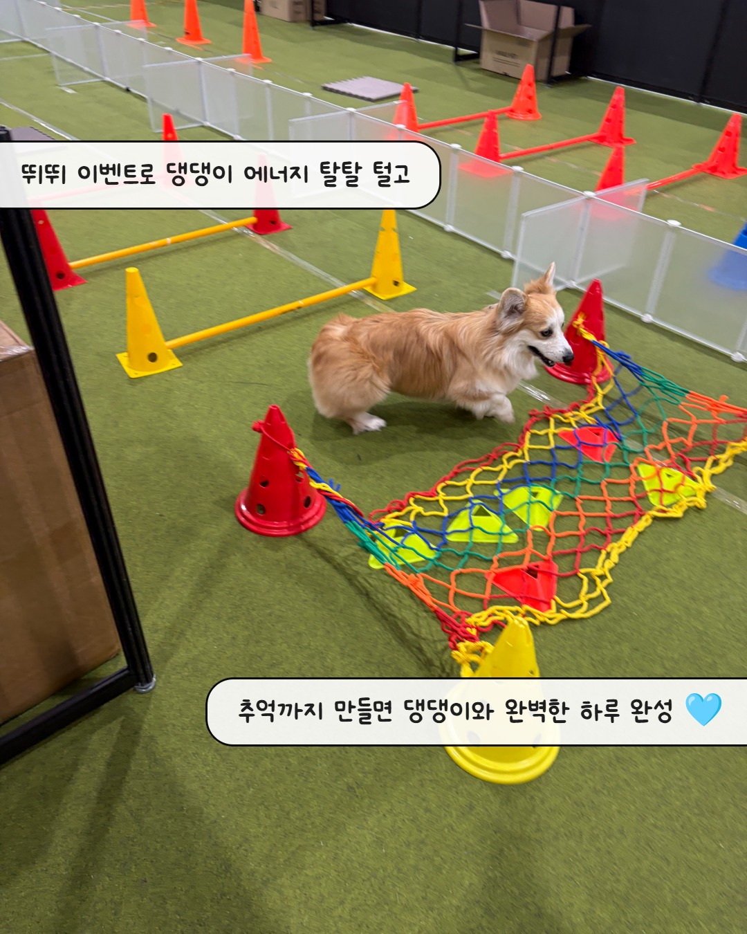 캐미솔 원피스 8
