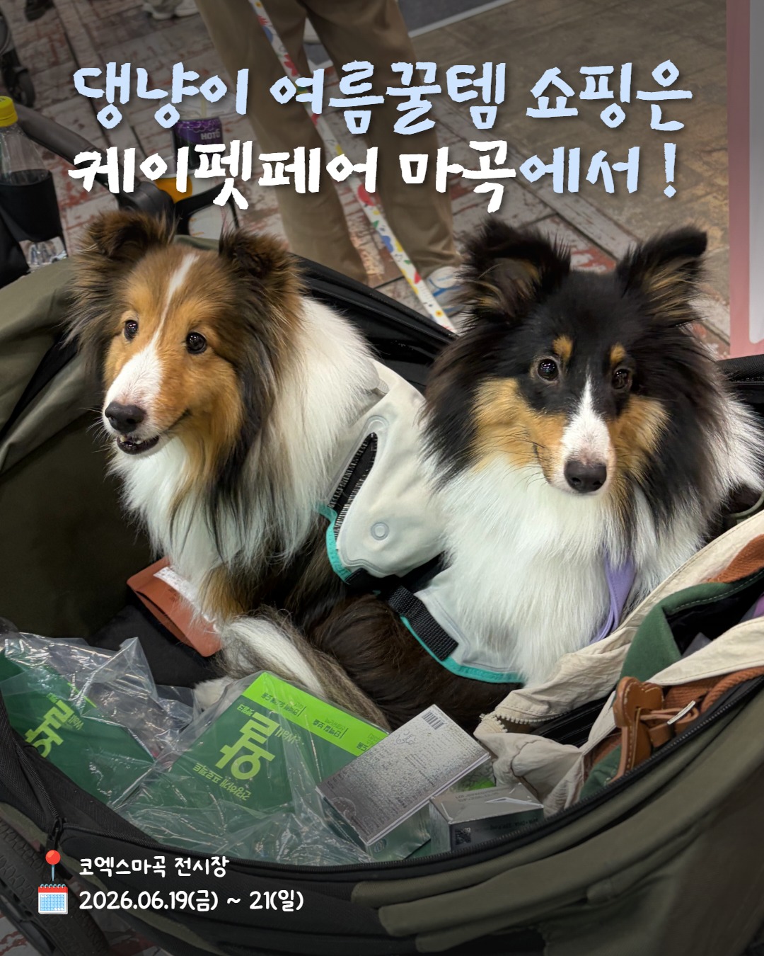 캐미솔 원피스 10