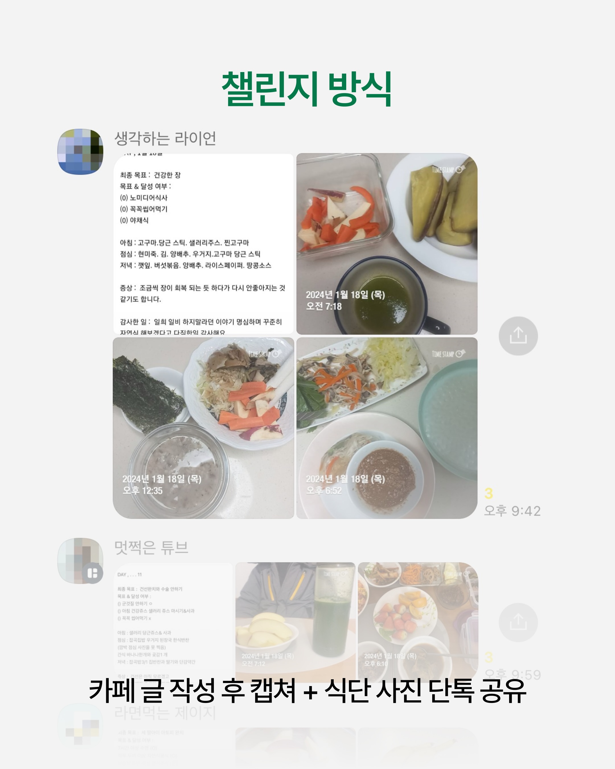 마이아 두유제조기 15