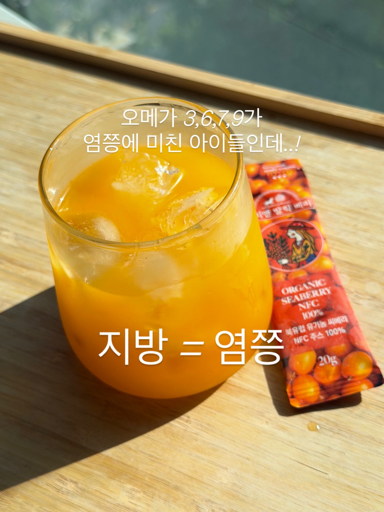 대사 on 프로그램 17