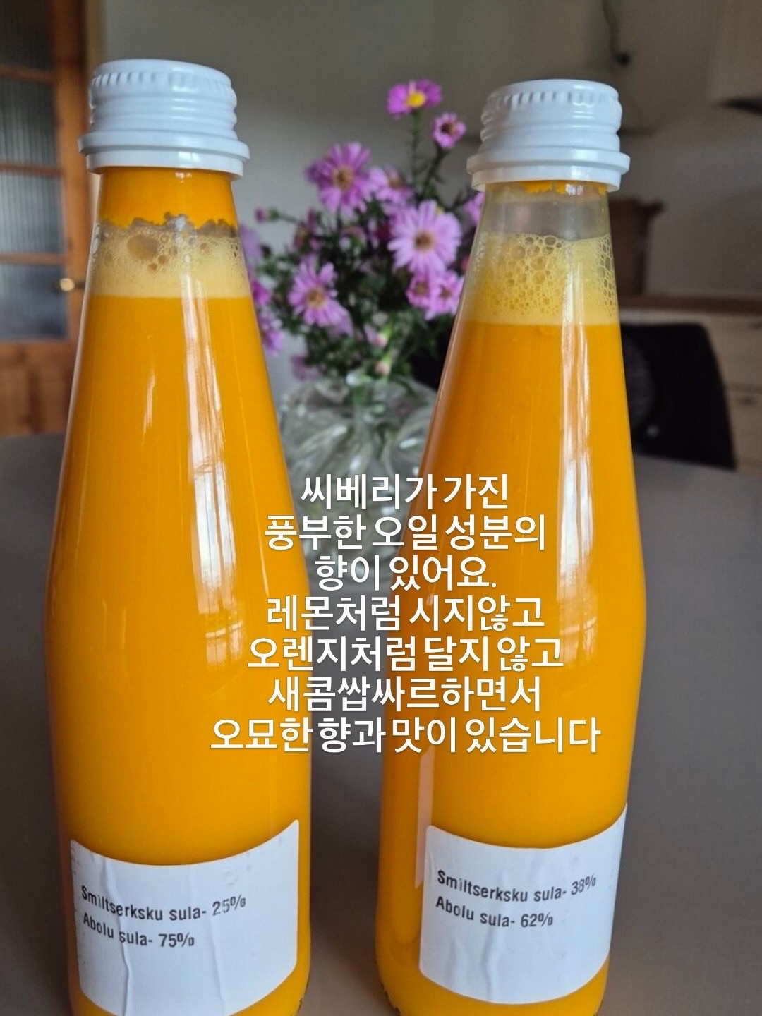 대사 on 프로그램 19
