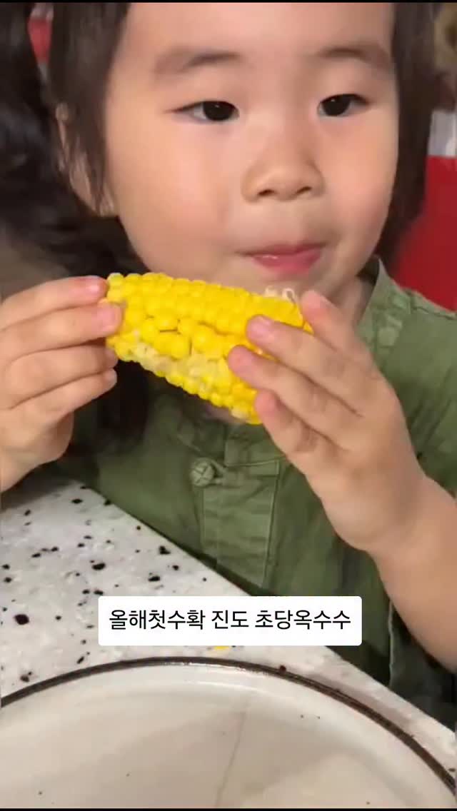 올슨 썸머 니트