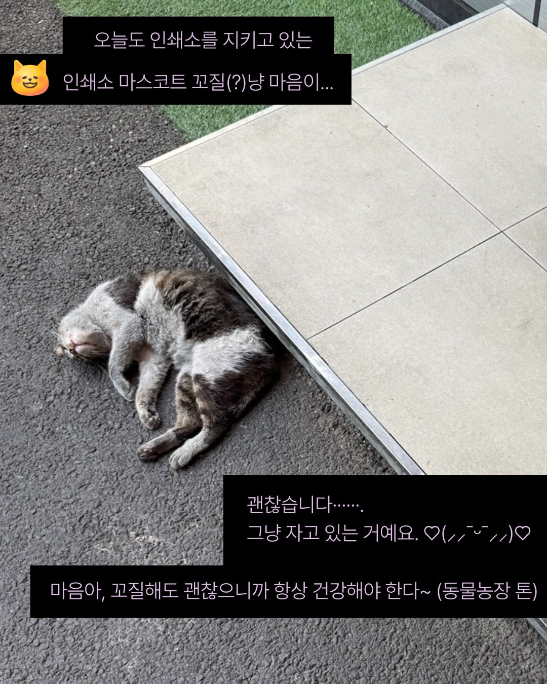 린넨 소재 바지 4