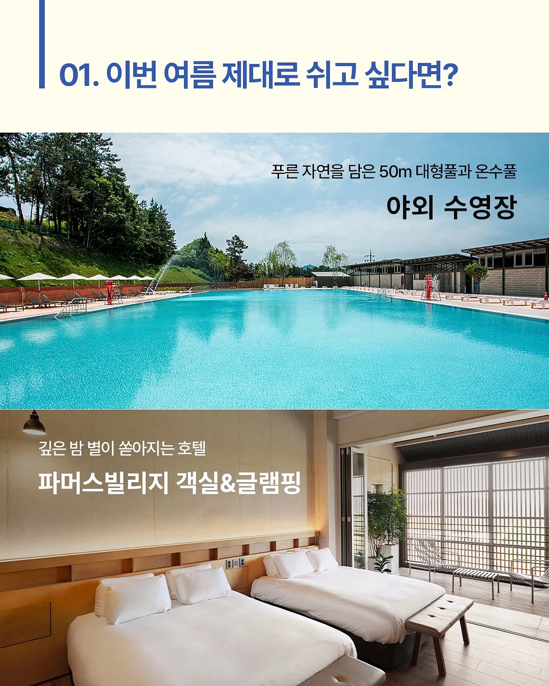 돌3종떡 심플 꽃송편케이크 2