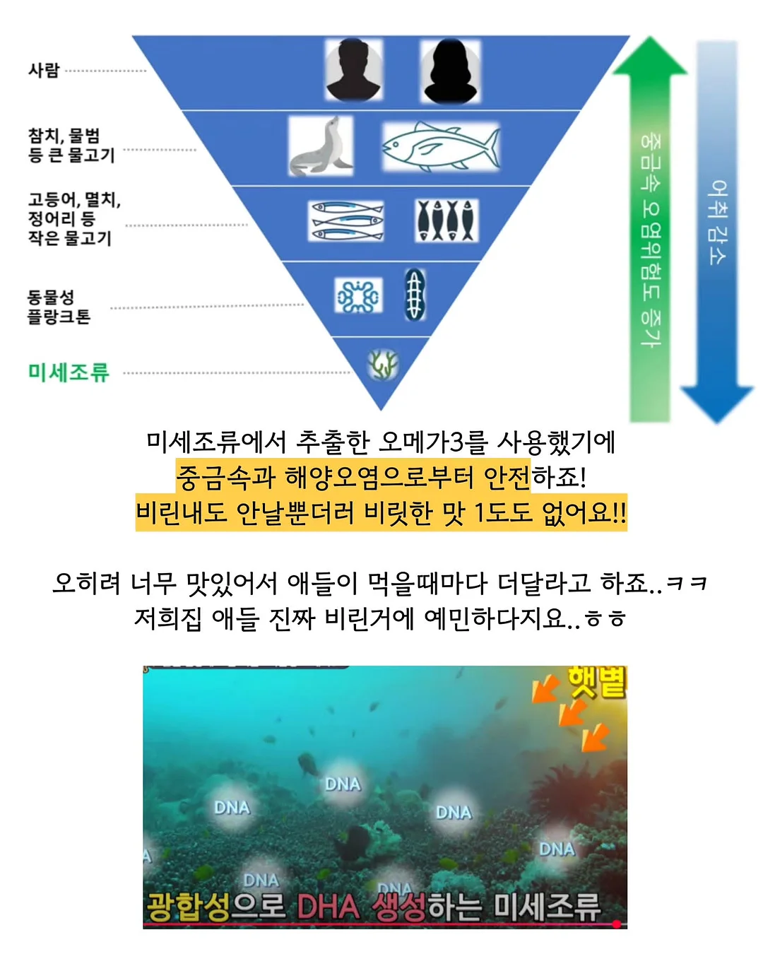 코치 북참 8