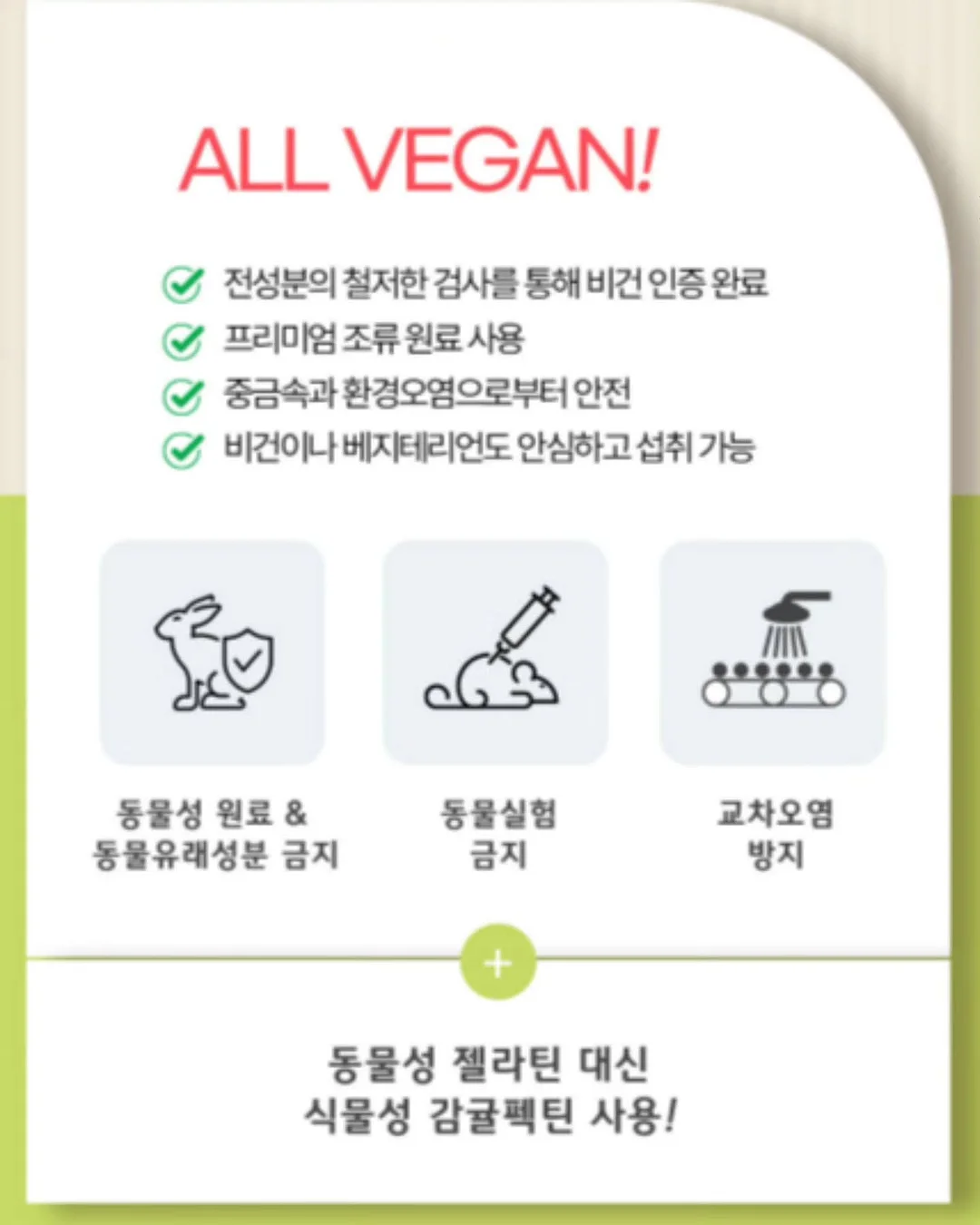 코치 북참 10