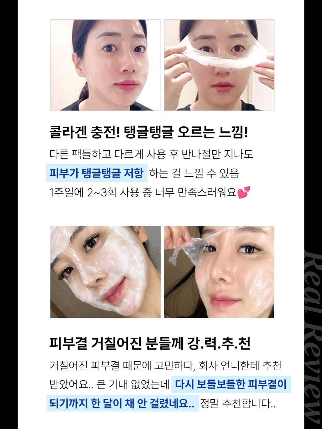 펫펍 브러쉬 6