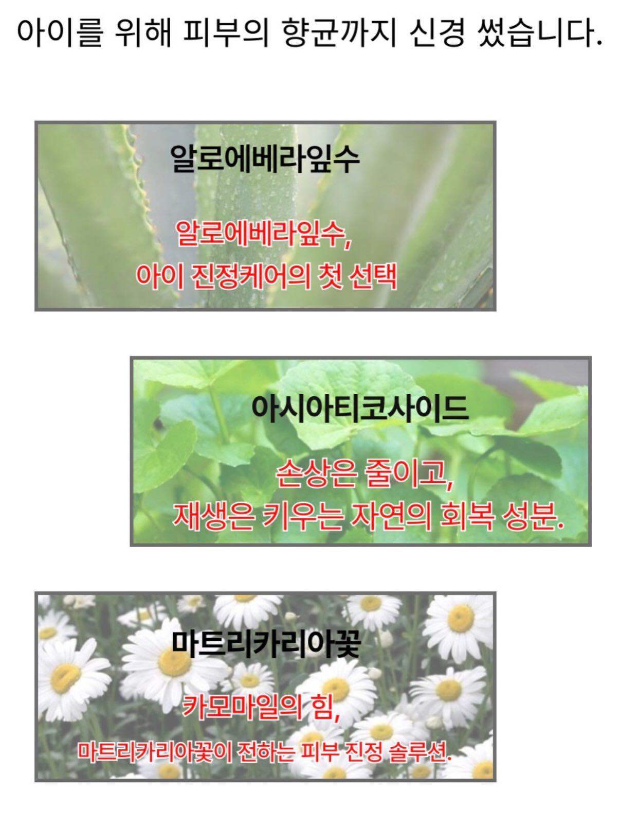 아디다스 스페지알 프릴데님 12