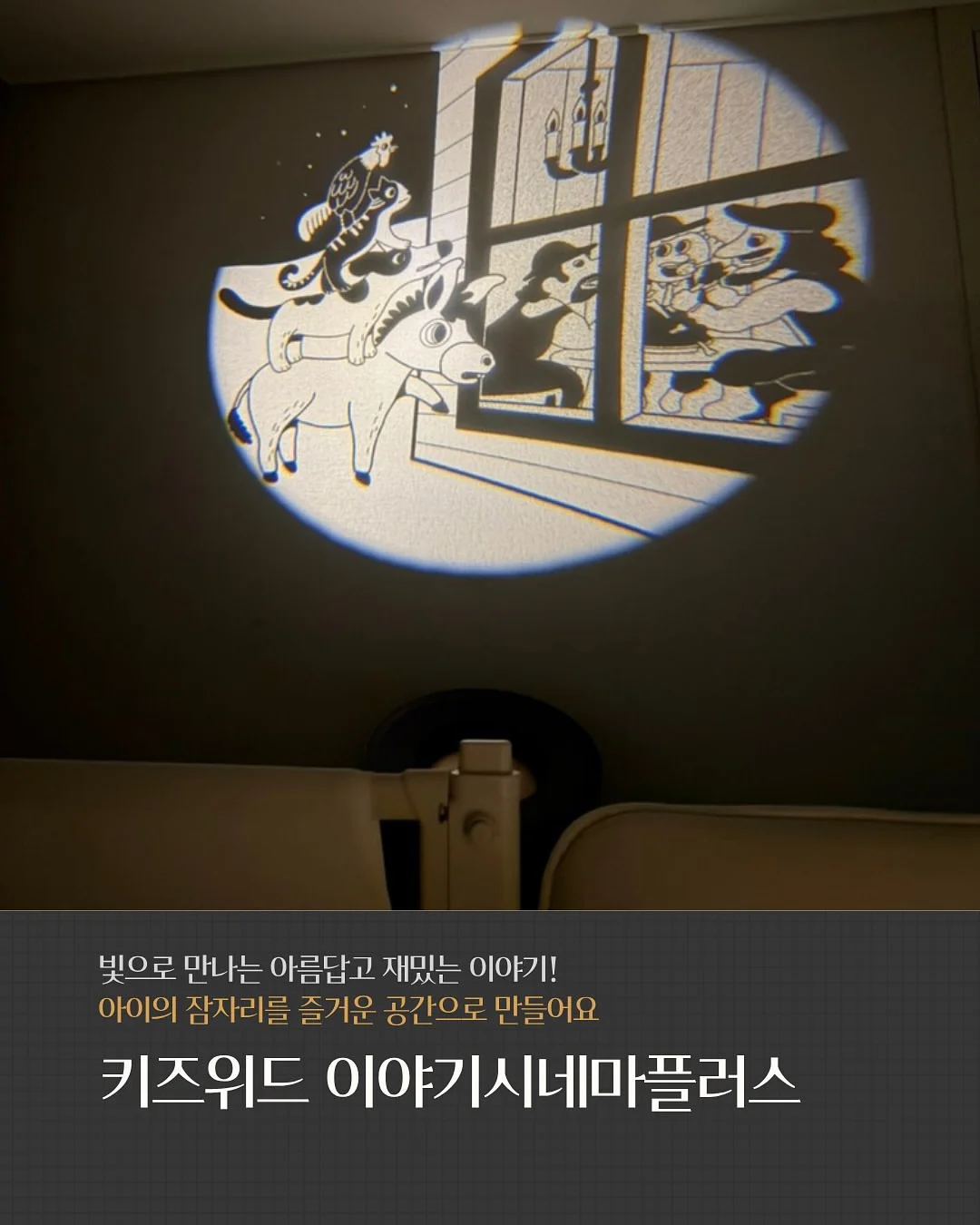 루미바스켓 11