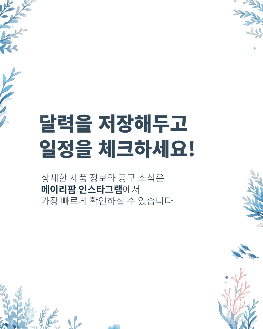 올리브 토마토 파네토네 5