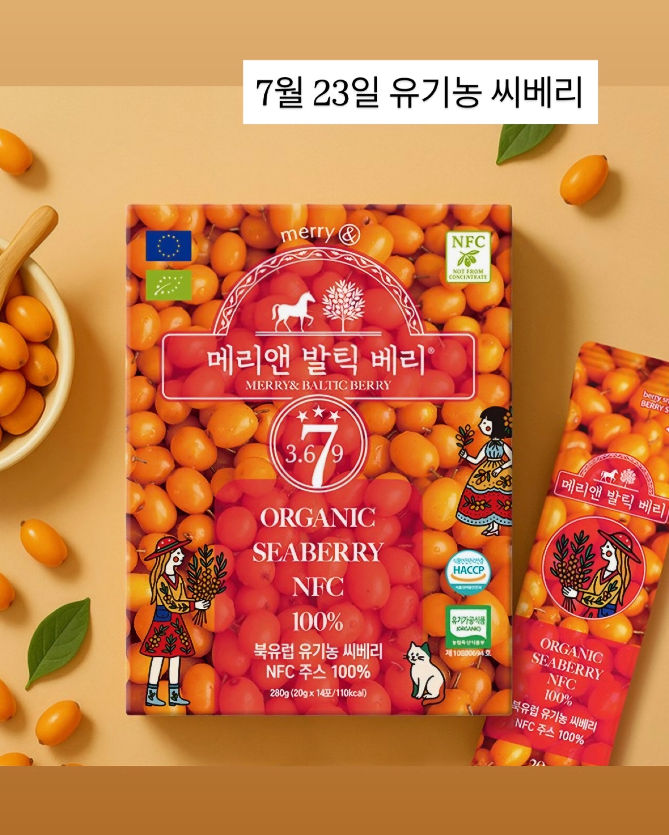 청춘 템플스테이 9