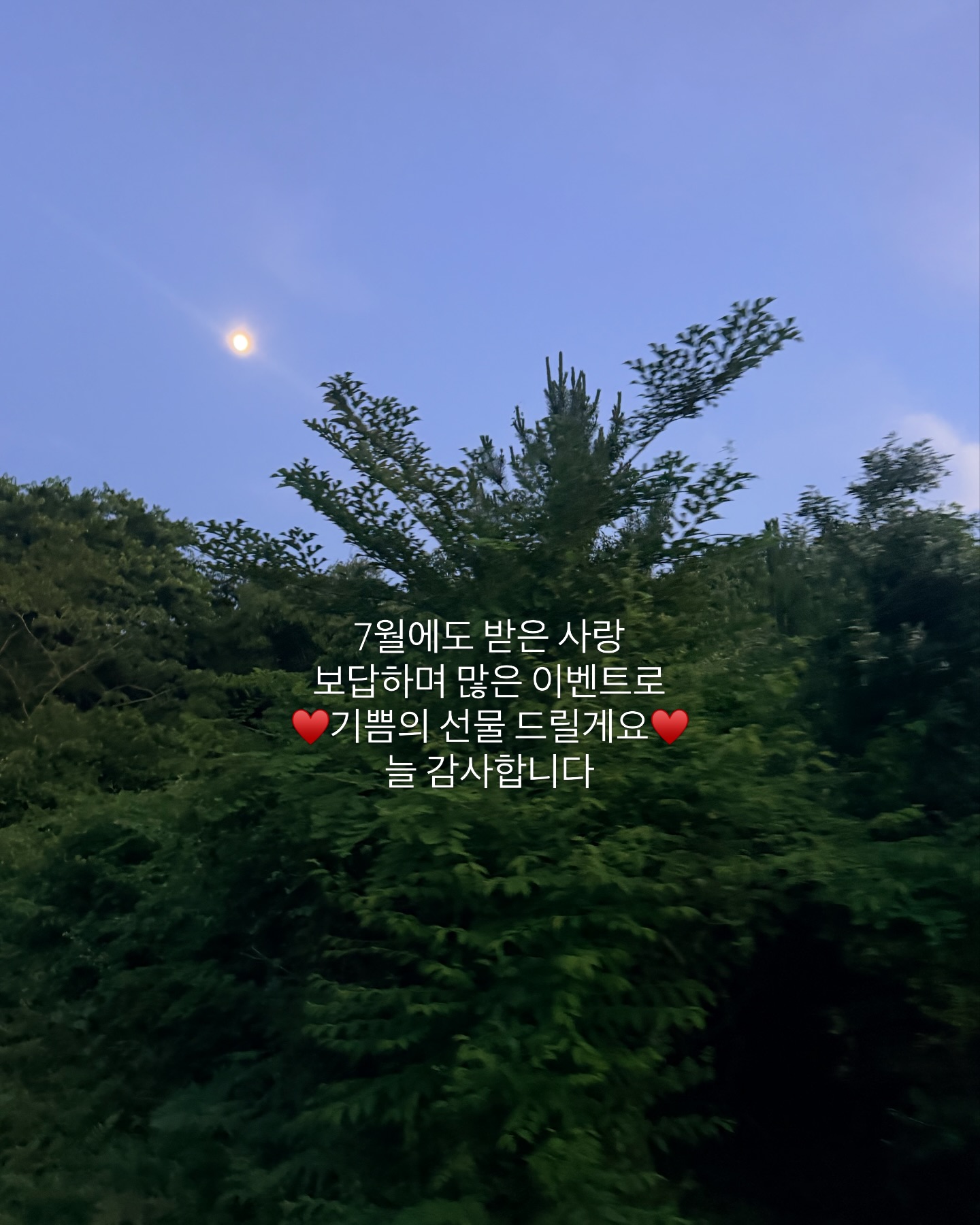 화장 들뜸 박멸 매직 미니 퍼프 6