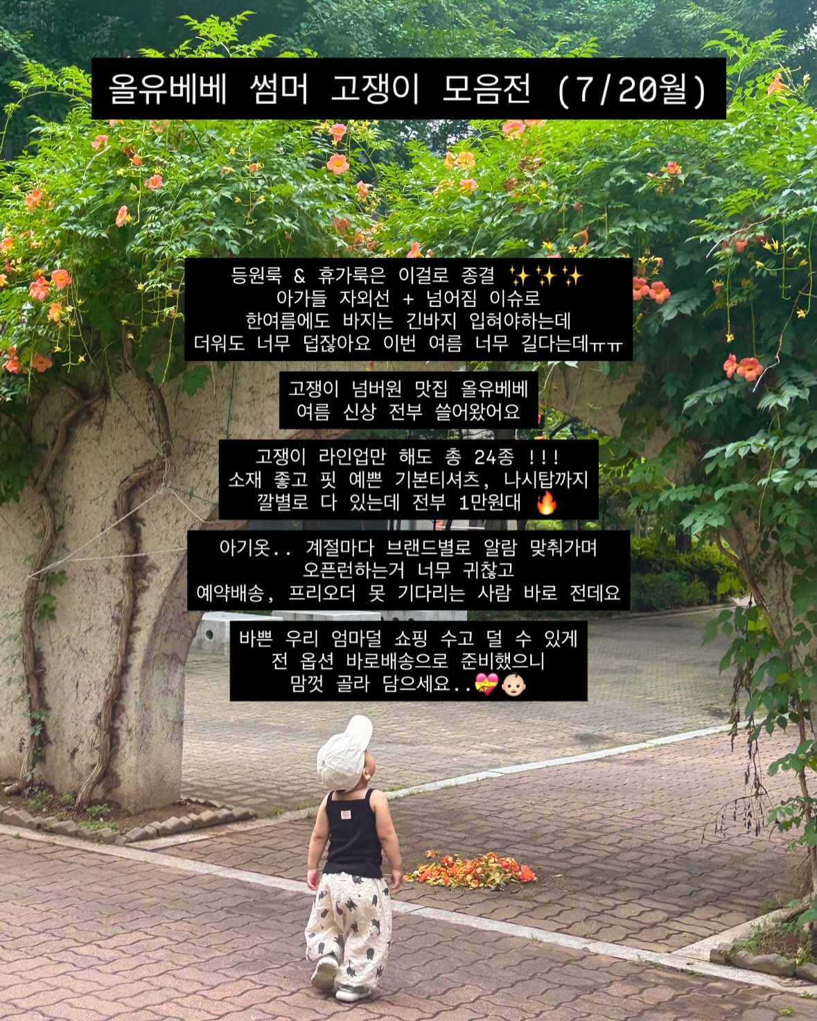 아장자수 5