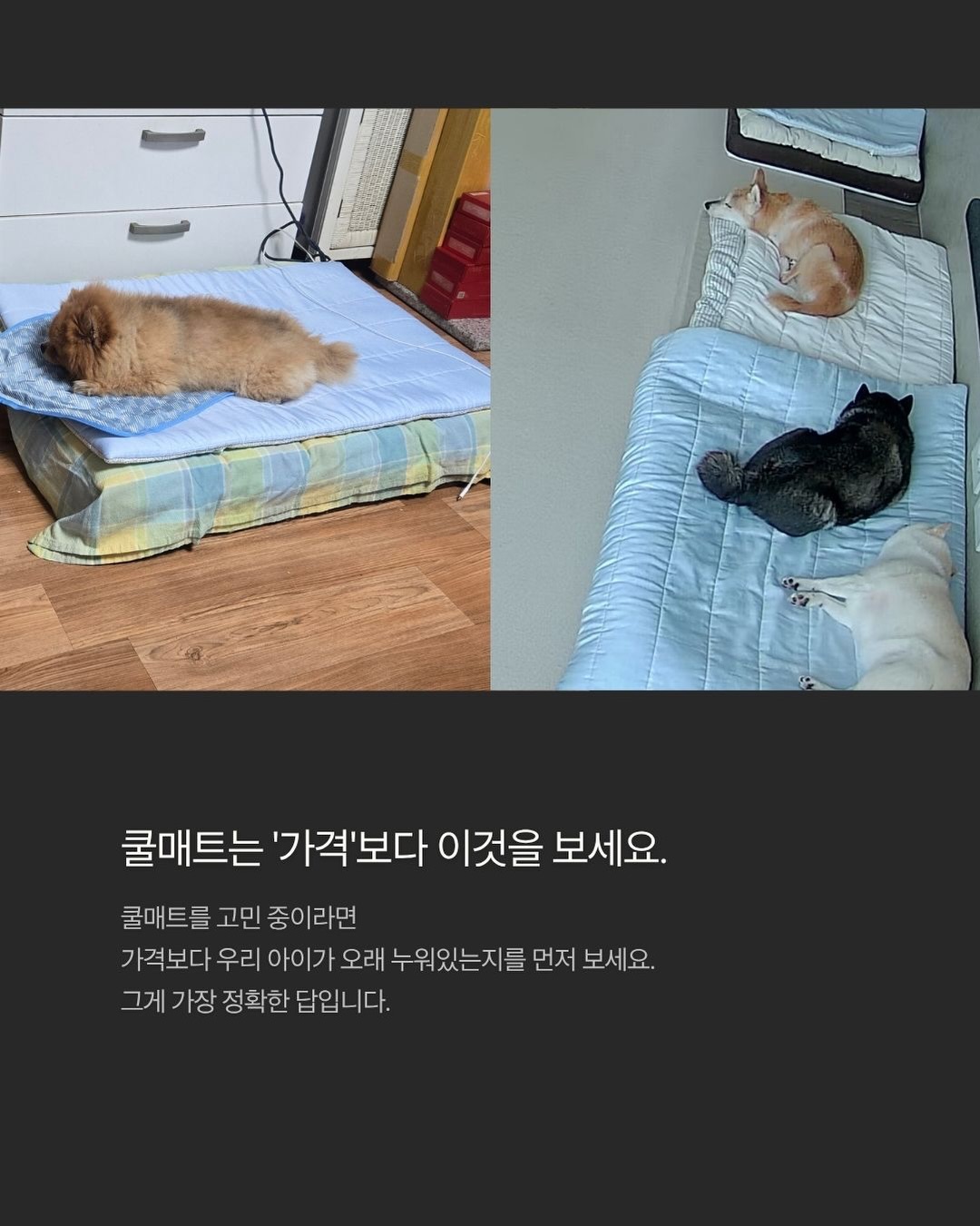 텀블러 9