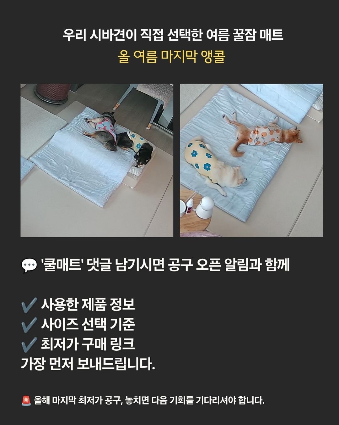 텀블러 10