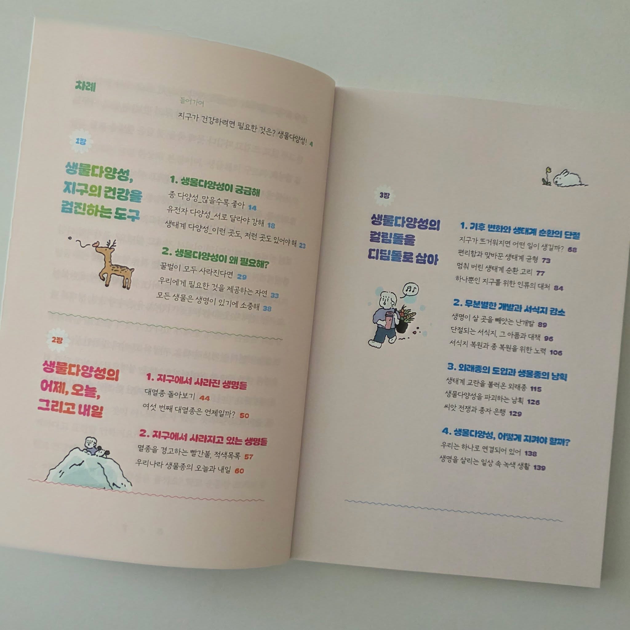 분수 과정 6