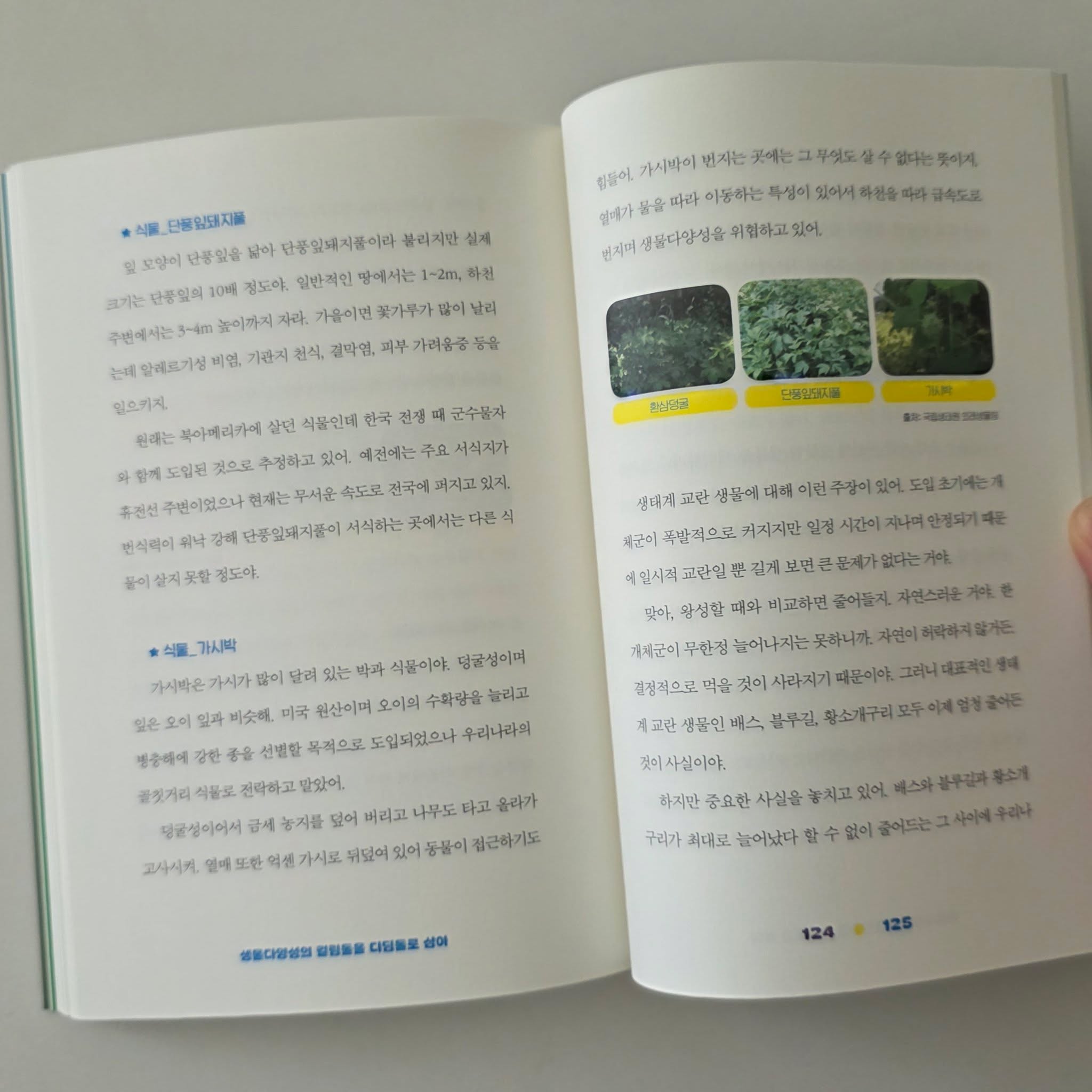 분수 과정 7