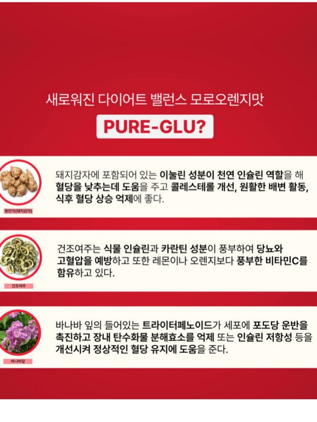 과일 아이스크림 메이커 16