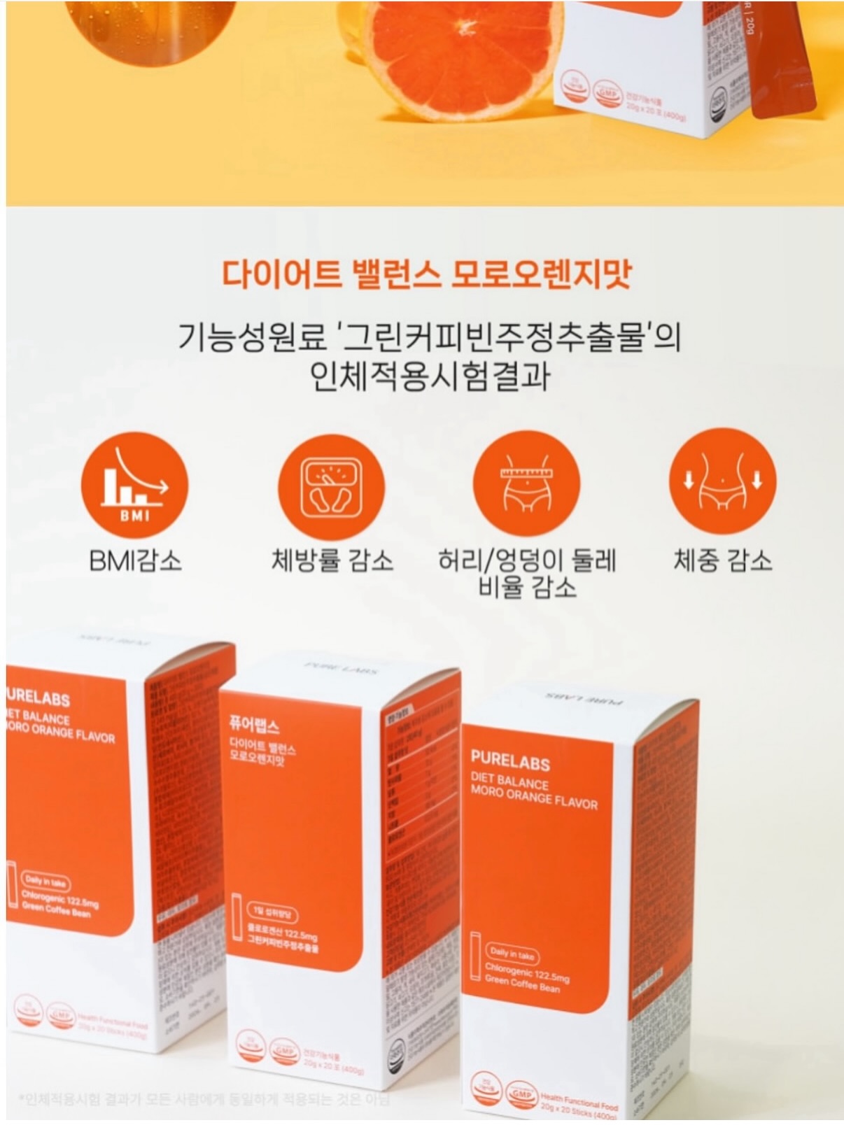 과일 아이스크림 메이커 18