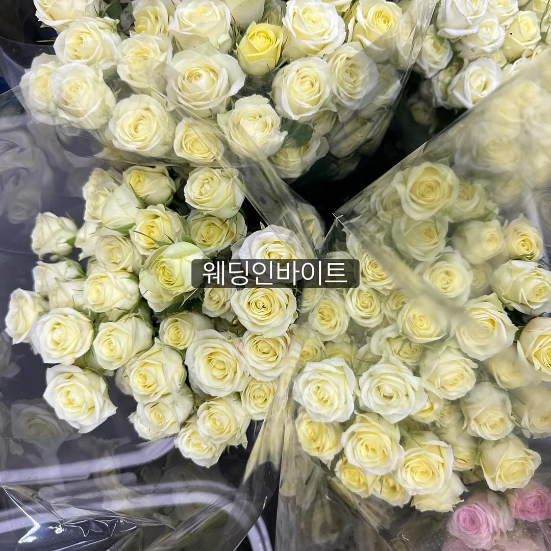 세트포인트 1
