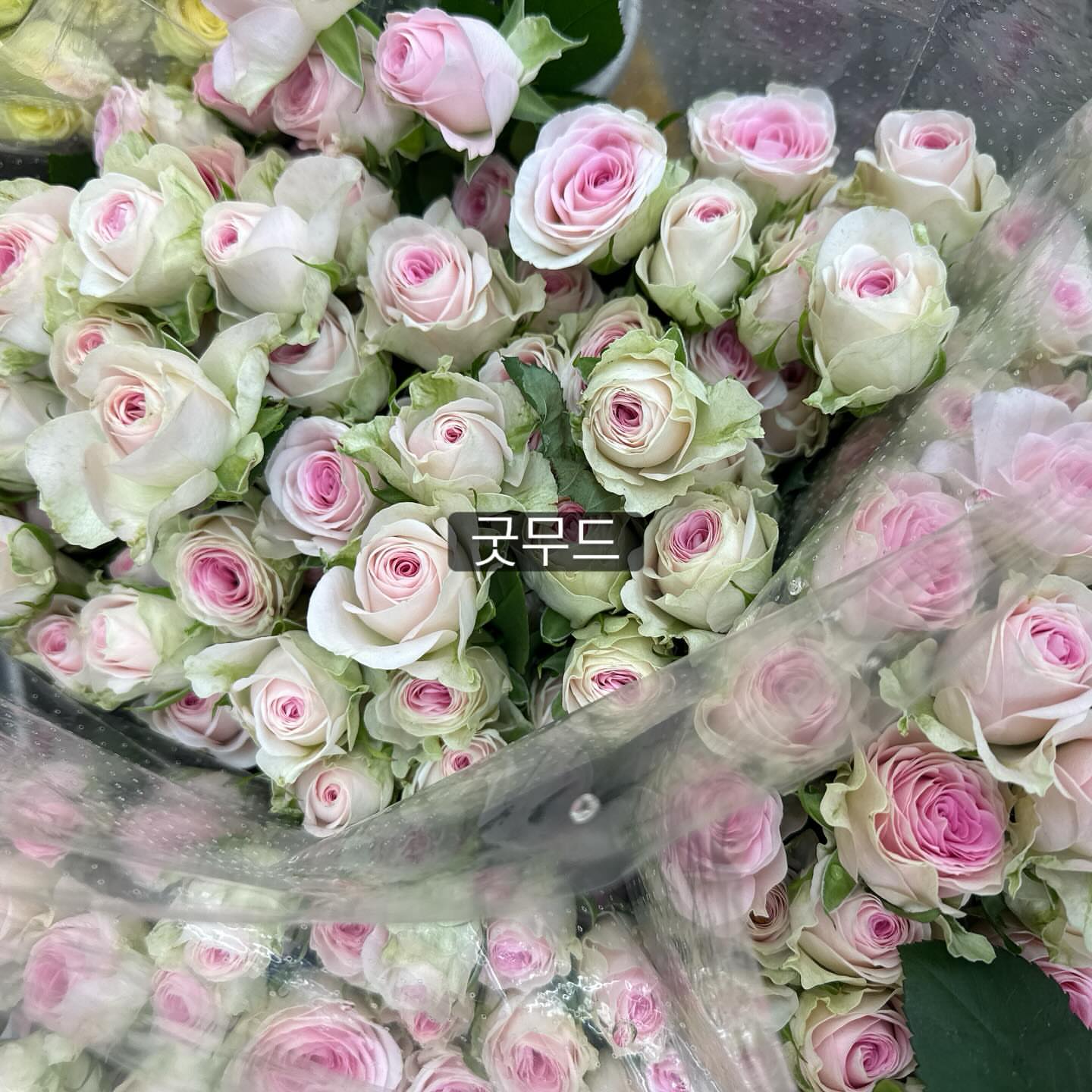 세트포인트 2