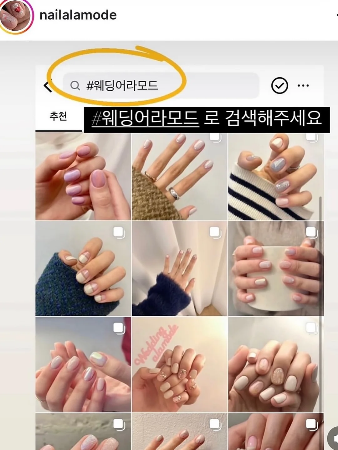 코코몰리 브러쉬&미스트 6