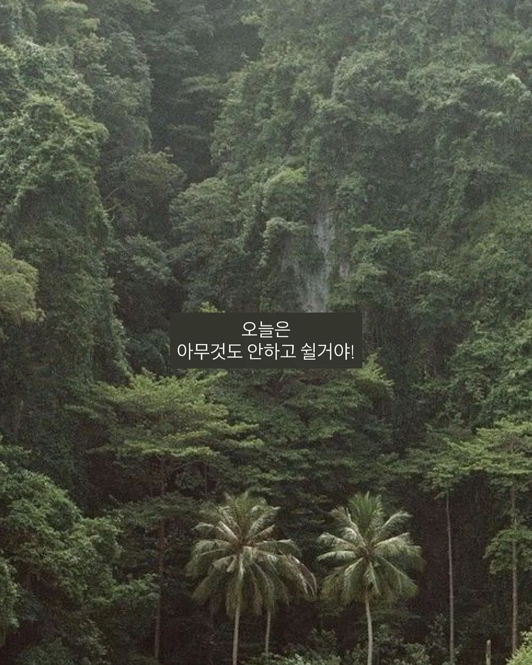 메링 모바일 청첩장 2